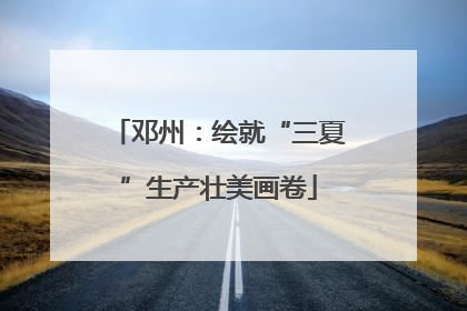 邓州：绘就“三夏”生产壮美画卷